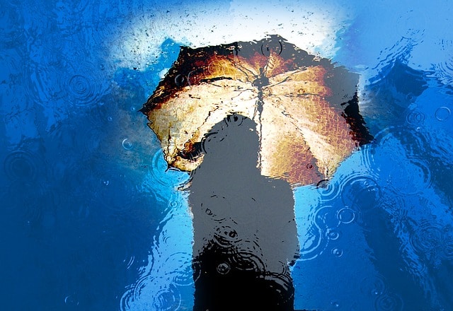 Rainy Day